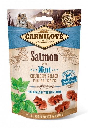 Cat Salmon & Mint Crunchy Snack